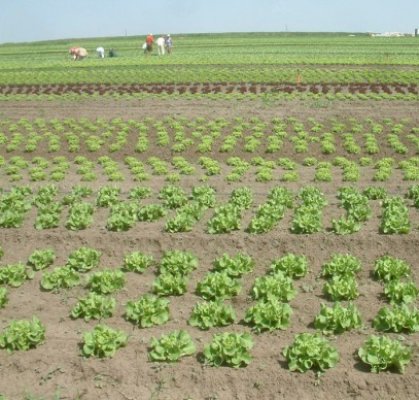 PF Daniel şi ministrul Daniel Constantin au semnat protocolul privind sprijinirea agriculturii